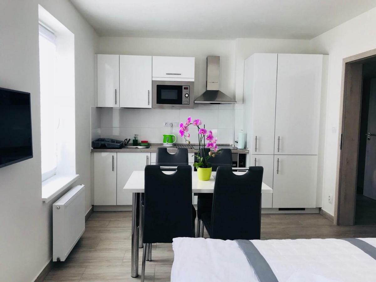 Panorama Apartments Karlowe Wary Zewnętrze zdjęcie